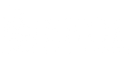 logo bottom